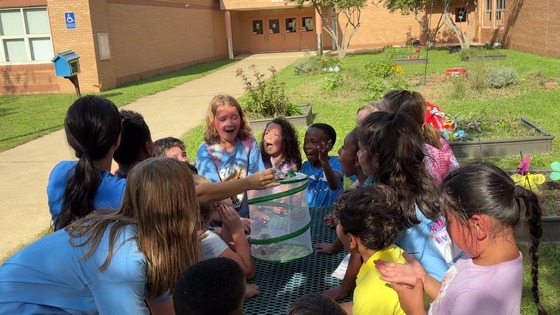 2nd graders watching their teachers release the monarch butterflies from their classroom into the school garden