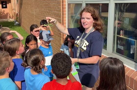 Students setting their monarch butterflies free in the school garden