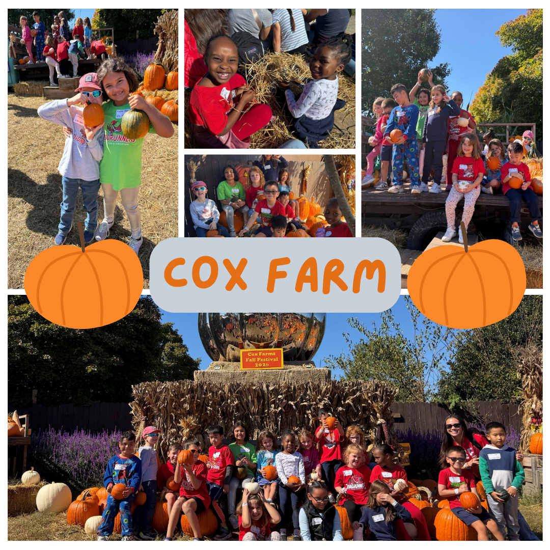 Photo collage of elementary school children at Cox Farm Fall Festival 2026 holding pumpkins.