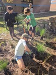 R3 Garden Work 1