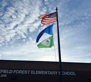 picture of green team eco flag