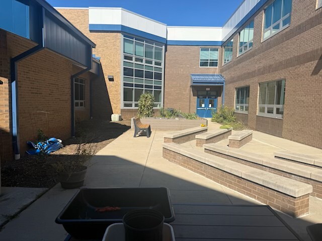 Courtyard after cleanup