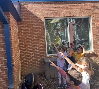 picture of kids pointing at a birds nest