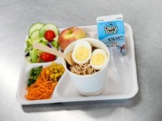 Lunch Plate with various options