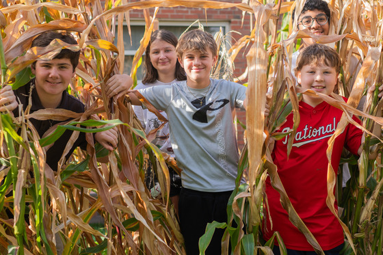 Irving students take a walk through the corn field.