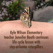 Life Cycle lesson from Kyle Wilson Elementary School teacher