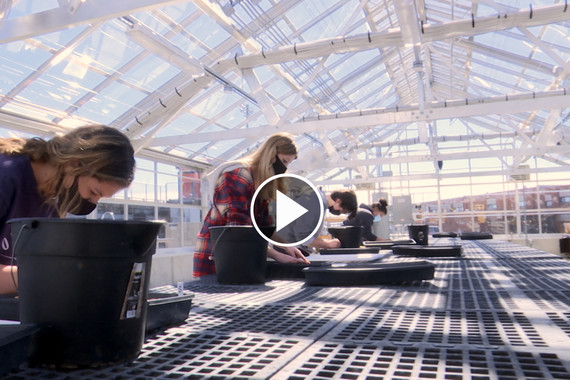 Greenhouse provides students with a fresh learning environment at Brentsville District High School 