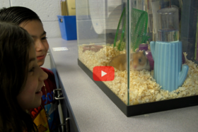 Humphrey the Hamster promotes reading at Mullen Elementary School