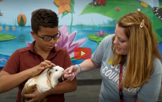 S'more the guinea pig teaches Bristow Run students responsibility and respect