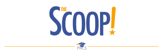 The Scoop! Masthead