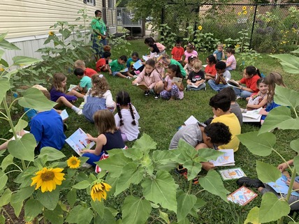 children in a sunflower garden reading
