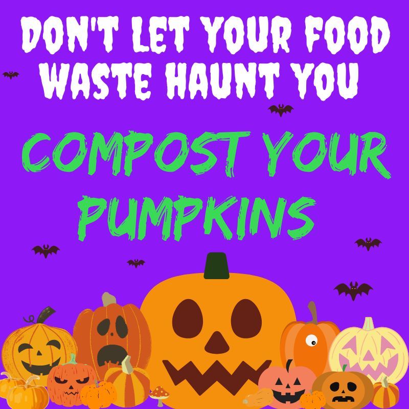 Pumpkin Composting