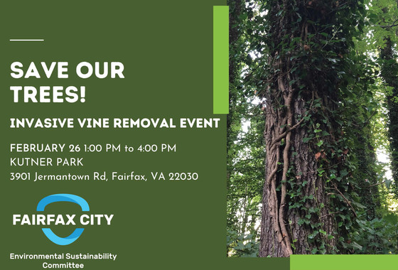 Save Our Trees event