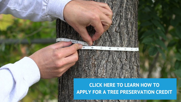 Tree Measurement Final 