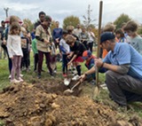 Arbor Day tree planting