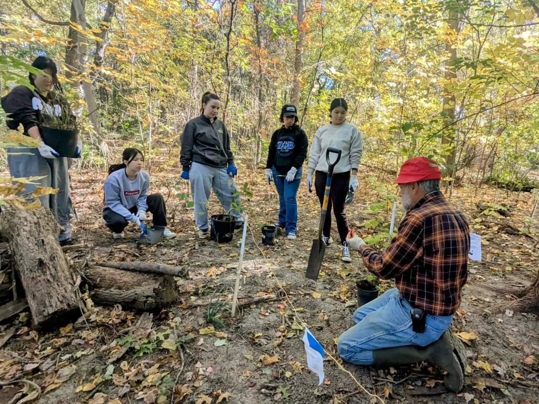 Native plant rescue in action