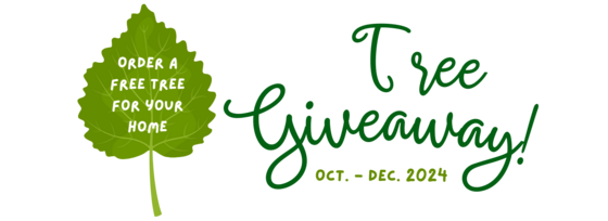 SPROUT Tree Giveaway 