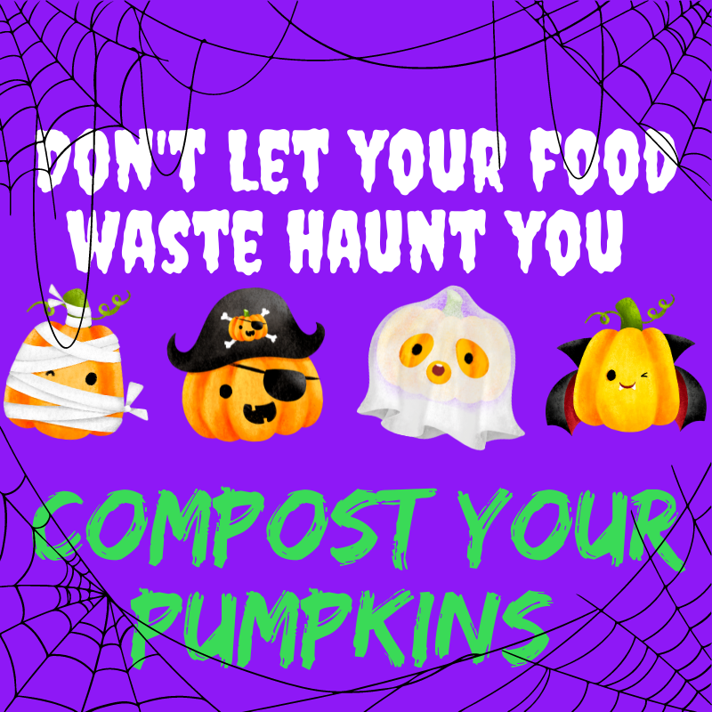 Pumpkin Composting