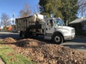 Leaf collection truck