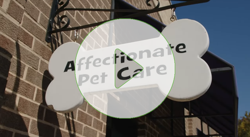 Affectionate Pet Care