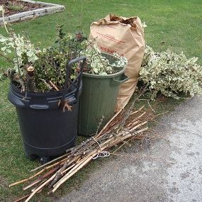 yard waste