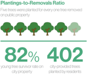 Urban Forest Infographic