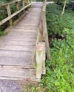 Trail Bridge