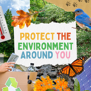 Protect the Environment Around You