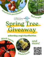 2026 Spring Tree Giveaway flyer