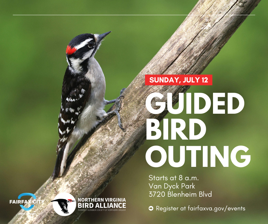 NVBA Bird Outing