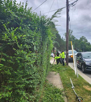 Right of Way Trimming
