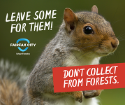 Leave Some for Them - Squirrel