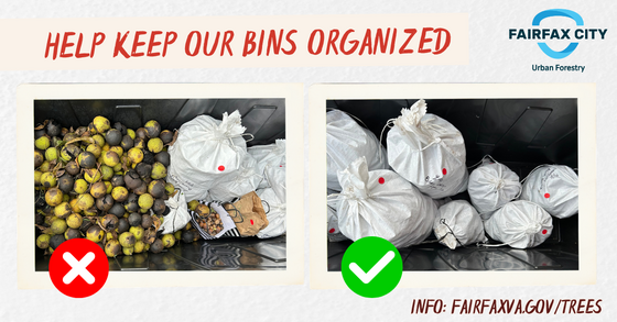 Nut donation bins - bags vs loose