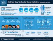 2023 annual foster care statistic infographic 