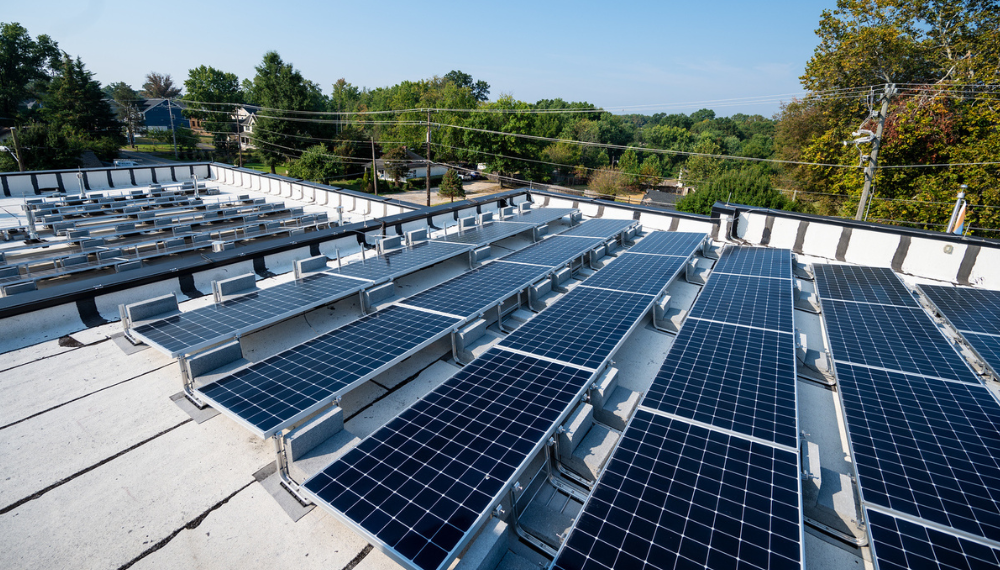 Image of rows of solar panels on the rooftop of the Woodlawn Fire Station