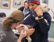 Vaccine and Microchip Clinic