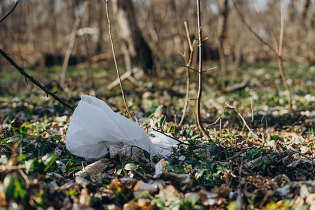 plastic bag pollution in forest