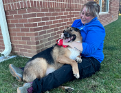 Animal Caregiver Rachel with an adoptable German Shepherd-type dog. 