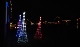 Image of Christmas lights at Frying Pan Farm Park