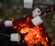 Image of a campfire with marshmallows roasted over the fire