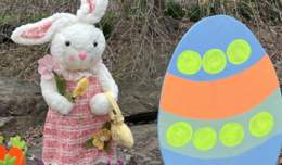 Image of Easter Bunny and painted cardboard egg