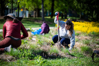 woman holding shovel and weeding in garden bed