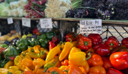Image of fresh peppers, kale and green onions displayed on a table at the farmers market