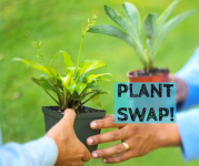 Image of a pair of hands passing a plant to another pair of hands with the text "Plant Swap" written on top.