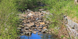 river bed with rocks