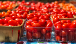 Image of red cherry tomatoes in cartons on a picnic table at the Mosaic Farmers Market