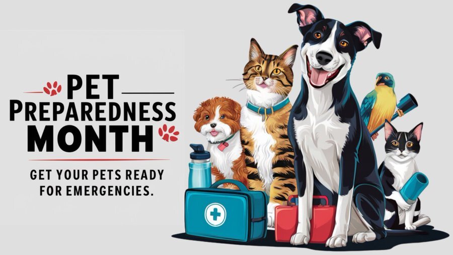 June is Pet Preparedness Month