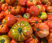 Aerial view of a pile of red heirloom tomatoes 