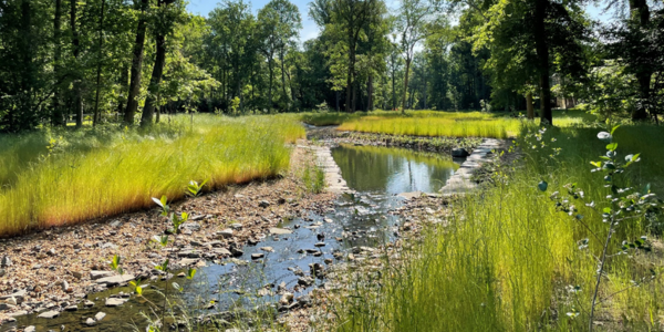 Stream Restoration