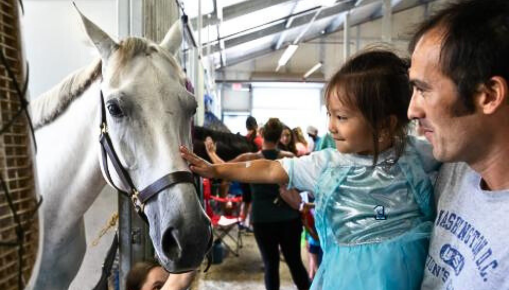 Image of a father holding his toddler daughter as she reaches her hand out to pet a white horse in a stable.
